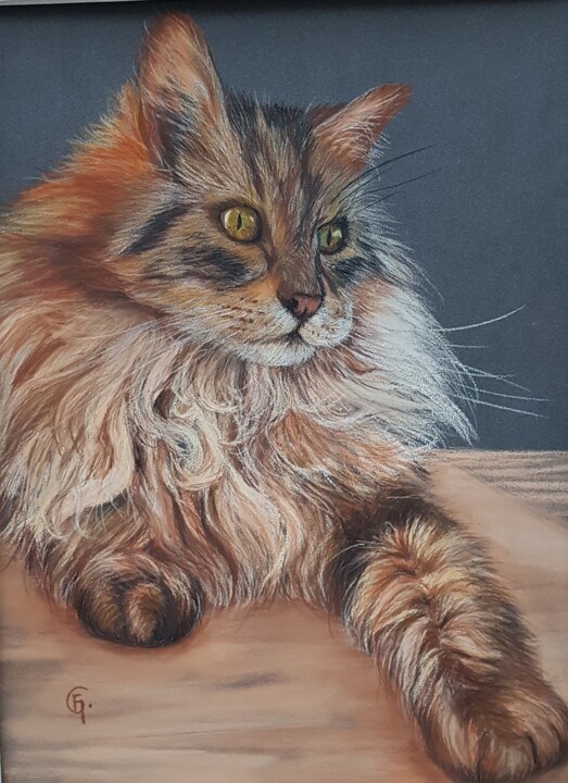 Animal préféré