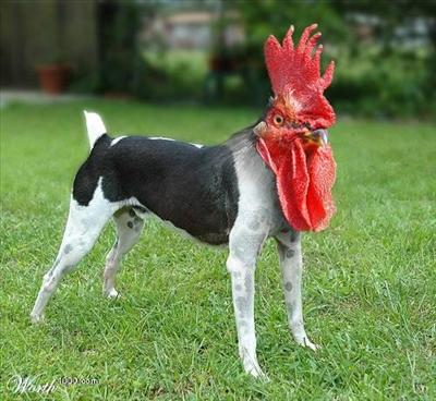 What Kind Of Magical Creature Are You?