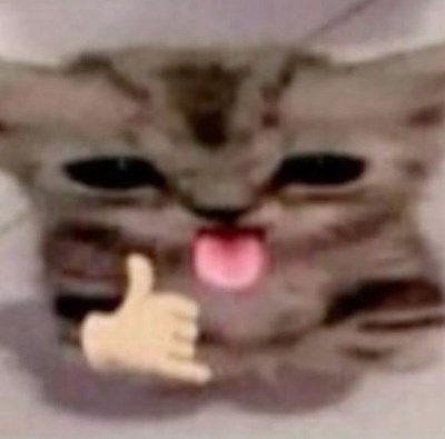 Sacexfvcffxfgfszxx