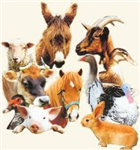 Si Tu Étais Un Animal, Tu Serais
