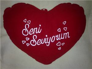 Hangi Ünlü Seni Seviyor