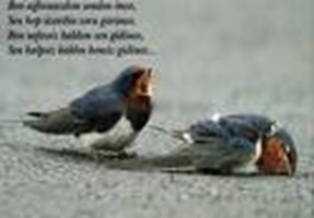 Sevdiğinin Seni Burakma Ihtimali