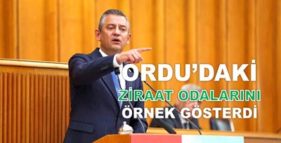 ÖZGÜR ÖZEL TESTİ
