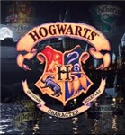 Seçmen Şapka Testi |Harry Potter- Daniel Radcliffe