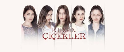 Hangi Kırgın Çiçekler Karakterisin