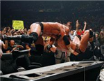 Rko Pedigree Mi