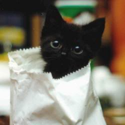 Cute Or Ugly?