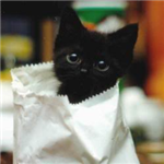 Cute Or Ugly?