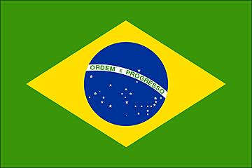 Fifa 2010 World Cup