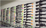 Gun Quiz