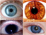 Como Eres Segun Tu Color De Ojos