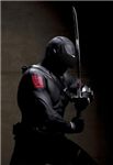 Ninja Level