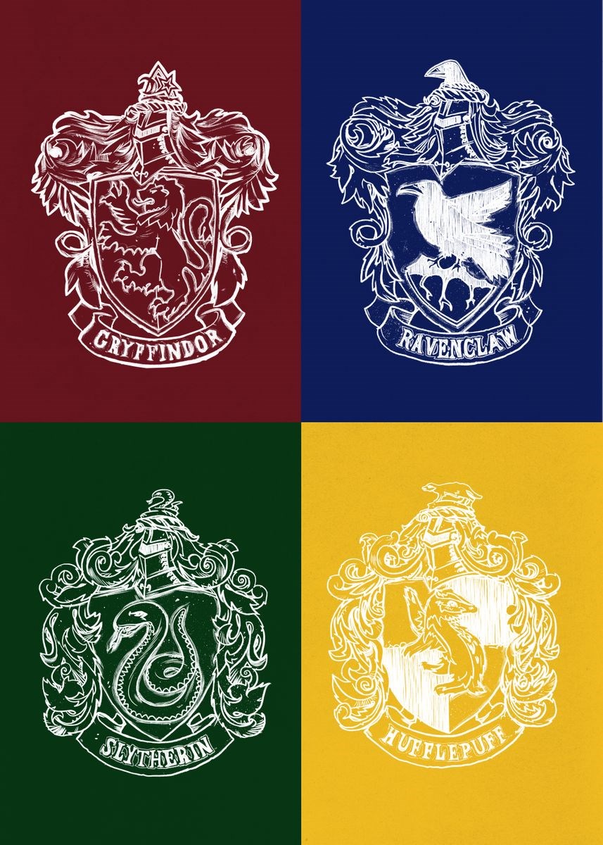 Which Hogwarts House Are You Suiting?