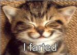 Mylolcats