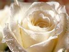 Comment Etes Vous En Amour