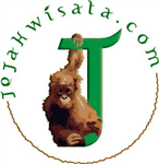 Poling Buat Wisatawan