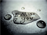 Do You Miss The Person Who Loved You?