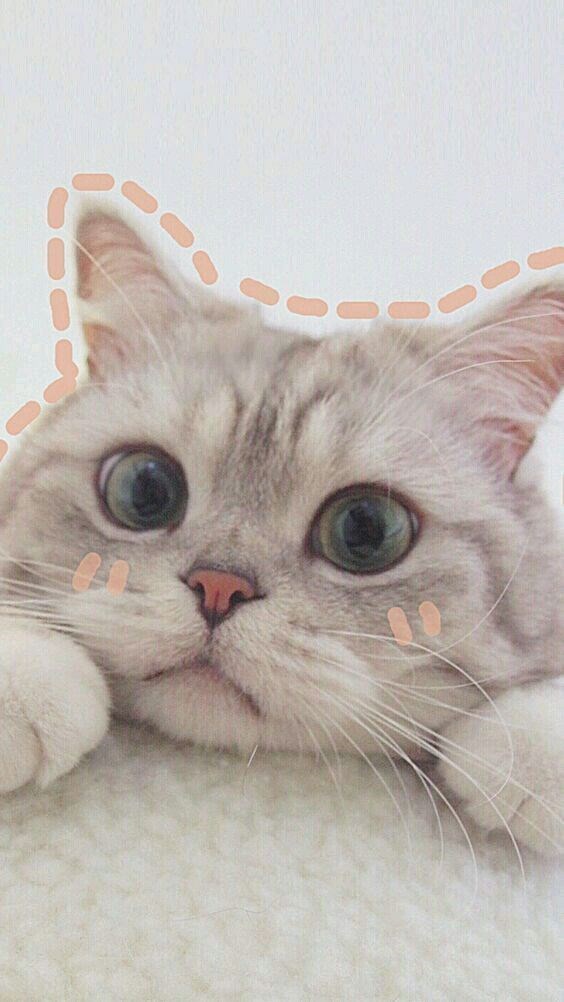 Seberapa Imut Dirimu