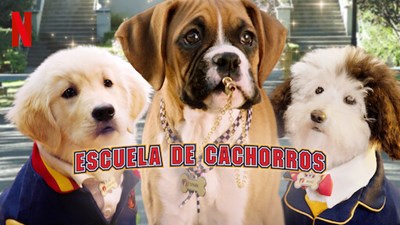 Que personaje eres de la escuela de cachorros