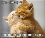 Lol Animals