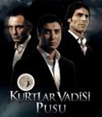 Turkiyede En Cok Hayrani Olan Dizi Hangisi?