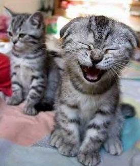 Will You Laugh Today?