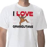 Adakah Anda Benar-Benar Mengenali Orangutan?