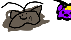 Que Space Cat Eres