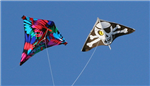Send Kites