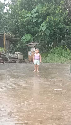 Apakah jenis kepribadian kamu?