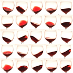 Wine Tester