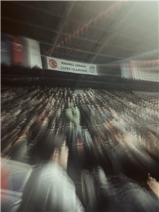 Ali Yı Tani