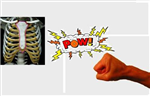 The Sternum