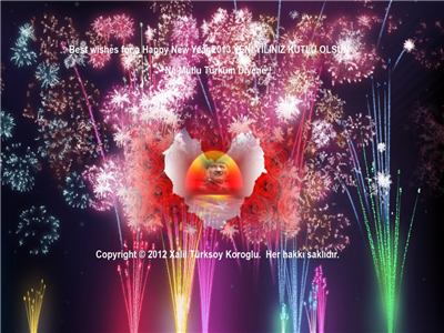 Best wishes for a Happy New Year