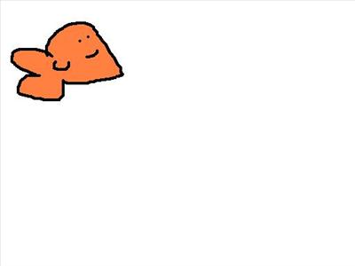 Comparethewibblefish.Com