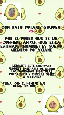 Que Tipo De Puchaina Sos?