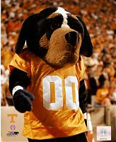 Favorite Football Team