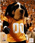 Favorite Football Team
