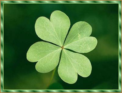 Fortunato O Sfortunato