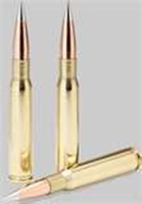 What Caliber Bullet Are You?