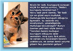 Testi Çözmeye Ne Dersiniz