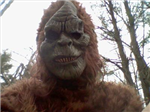 Bigfoot Life Gifts