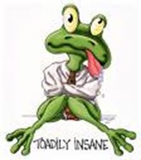 Daily Insanity