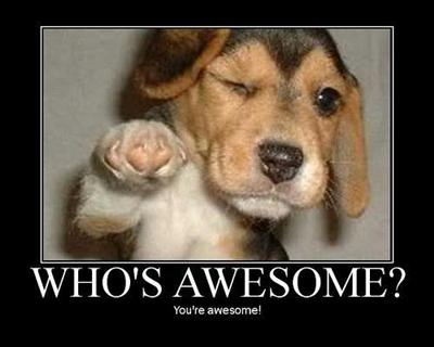 How Awesome Were You Today?