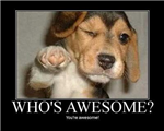 How Awesome Were You Today?