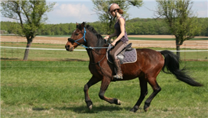 Es Tu Une Vrai Cavalière ?