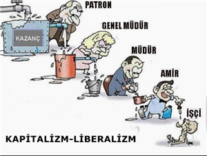 Siyasi Yönün Ne ?