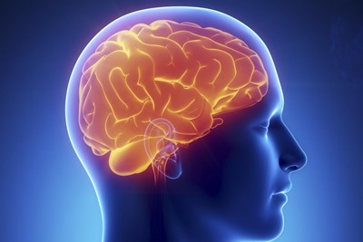 Seberapa Tinggi Iq Mu Ini?