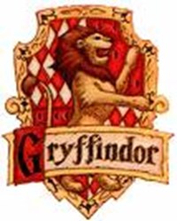 Hogwarts'a Gitsen Hangi Takıma Girersin?