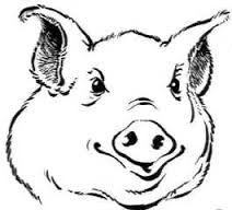 Edt Tu Un(E) Cochon/Truie? 